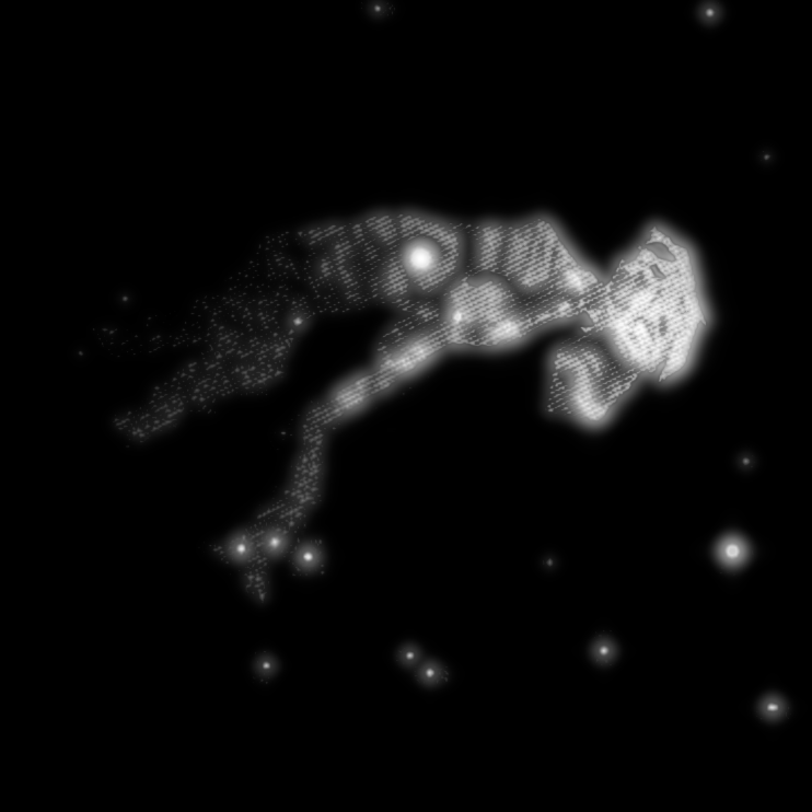 void's banner